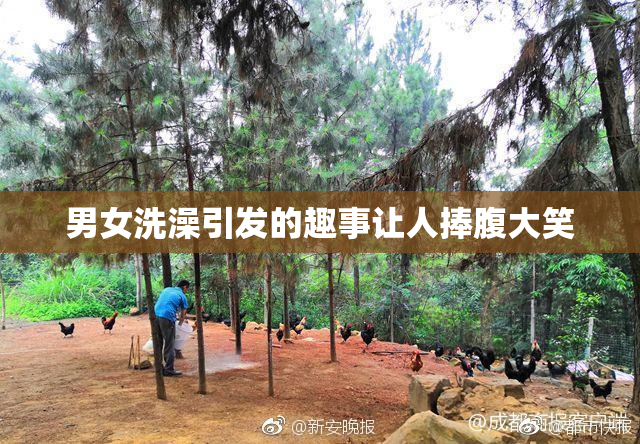 男女洗澡引发的趣事让人捧腹大笑