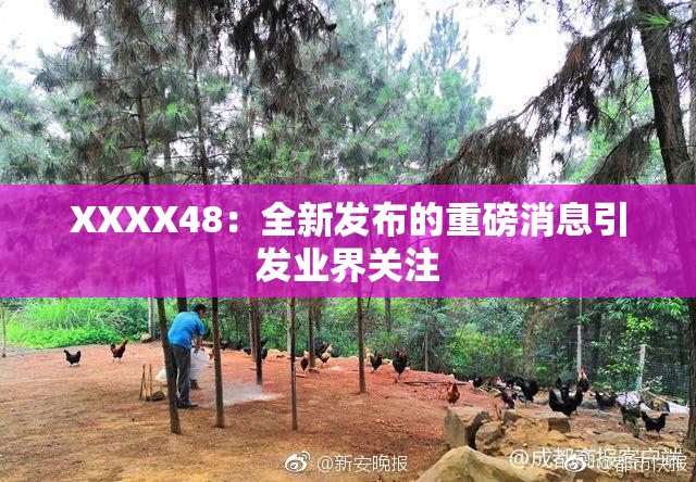 XXXX48：全新发布的重磅消息引发业界关注