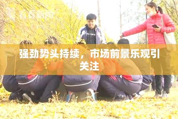 强劲势头持续，市场前景乐观引关注