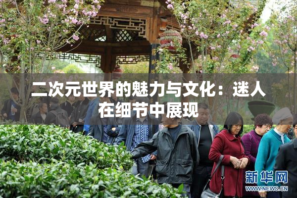 二次元世界的魅力与文化：迷人在细节中展现