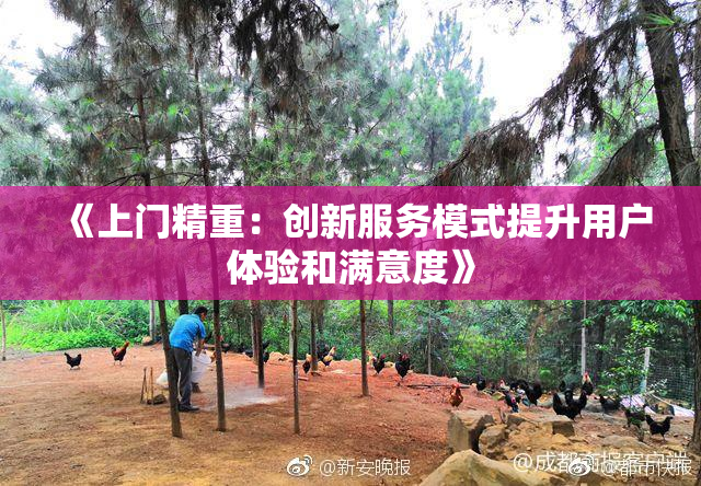 《上门精重：创新服务模式提升用户体验和满意度》