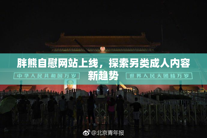 胖熊自慰网站上线，探索另类成人内容新趋势