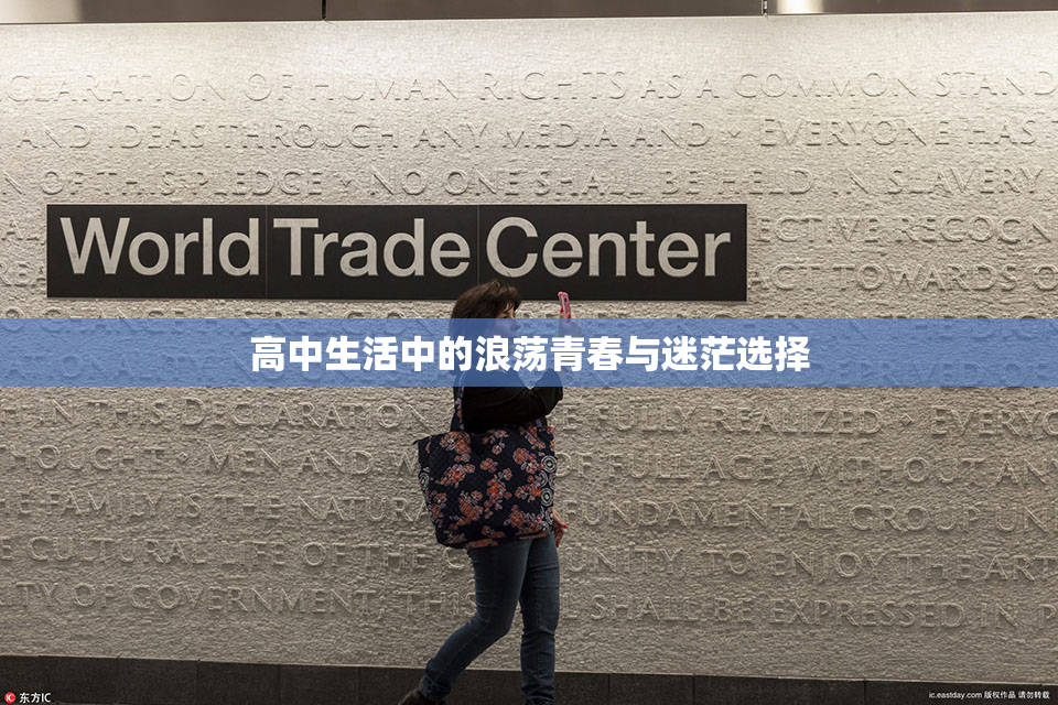 高中生活中的浪荡青春与迷茫选择
