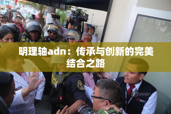 明理轴adn：传承与创新的完美结合之路