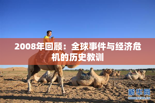 2008年回顾：全球事件与经济危机的历史教训