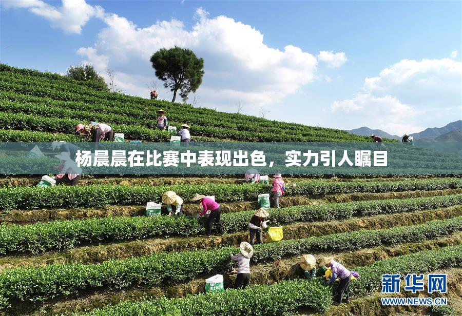 杨晨晨在比赛中表现出色，实力引人瞩目