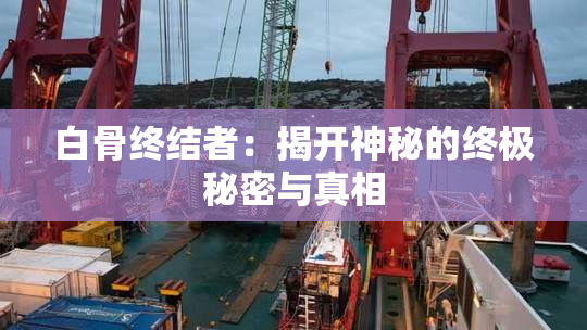 白骨终结者：揭开神秘的终极秘密与真相