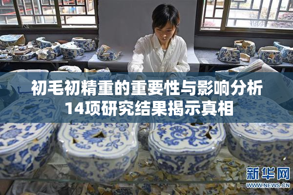 初毛初精重的重要性与影响分析 14项研究结果揭示真相