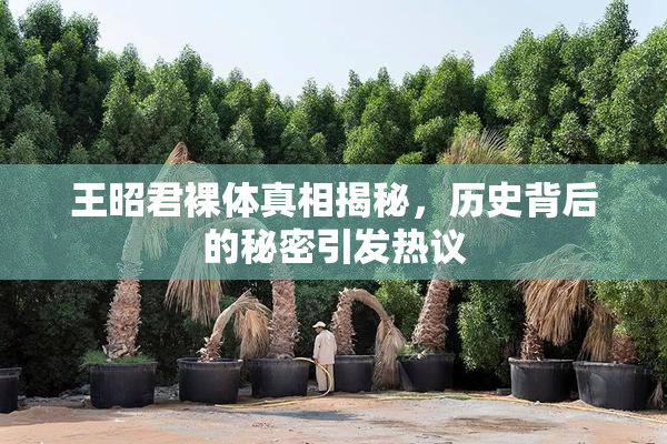王昭君裸体真相揭秘，历史背后的秘密引发热议