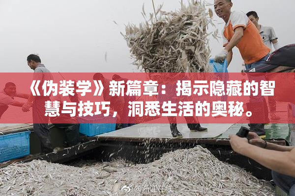 《伪装学》新篇章：揭示隐藏的智慧与技巧，洞悉生活的奥秘。