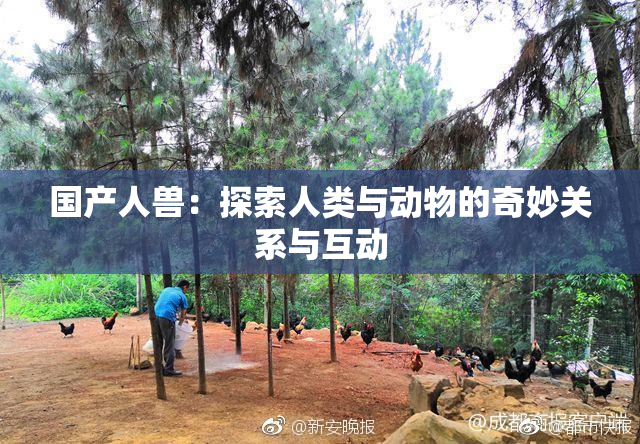 国产人兽：探索人类与动物的奇妙关系与互动