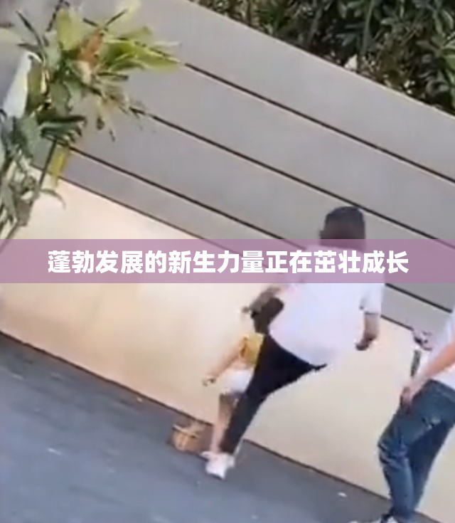 蓬勃发展的新生力量正在茁壮成长