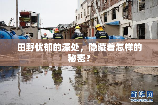 田野忧郁的深处，隐藏着怎样的秘密？