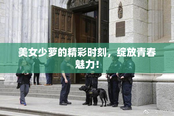 美女少萝的精彩时刻，绽放青春魅力！