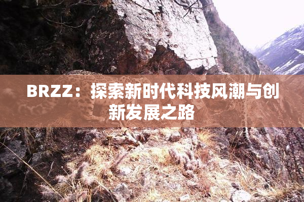 BRZZ：探索新时代科技风潮与创新发展之路