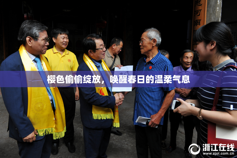 樱色偷偷绽放，唤醒春日的温柔气息