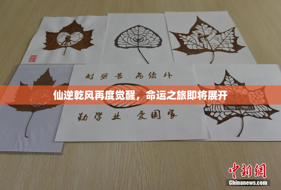 仙逆乾风再度觉醒，命运之旅即将展开