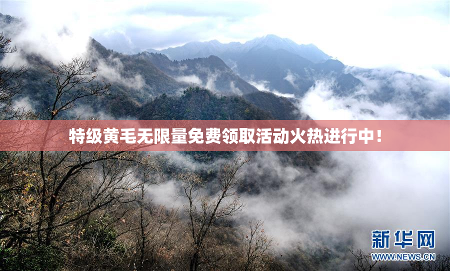 特级黄毛无限量免费领取活动火热进行中！