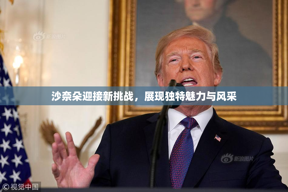 沙奈朵迎接新挑战，展现独特魅力与风采
