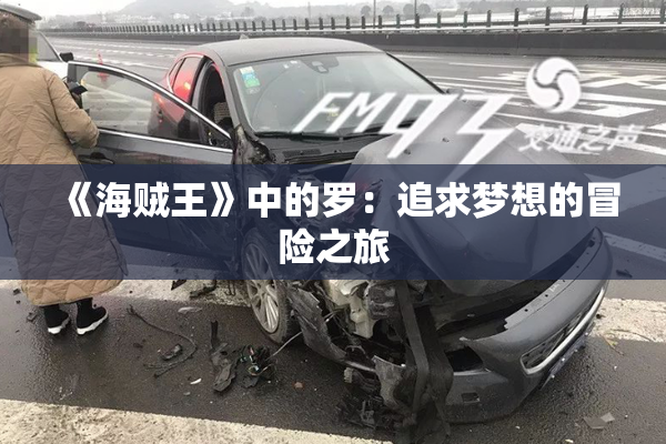 《海贼王》中的罗：追求梦想的冒险之旅