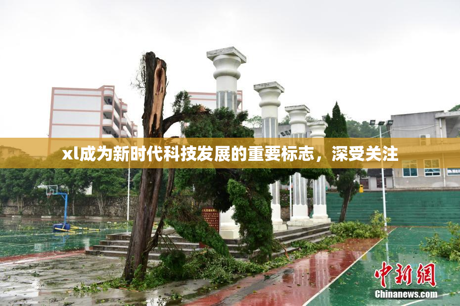 xl成为新时代科技发展的重要标志，深受关注