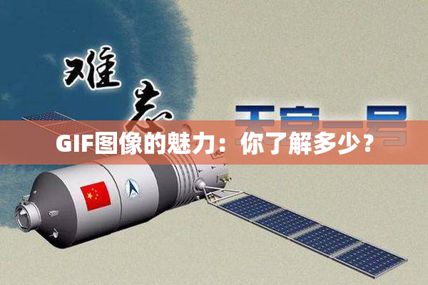 GIF图像的魅力：你了解多少？