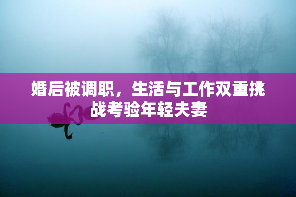 婚后被调职，生活与工作双重挑战考验年轻夫妻