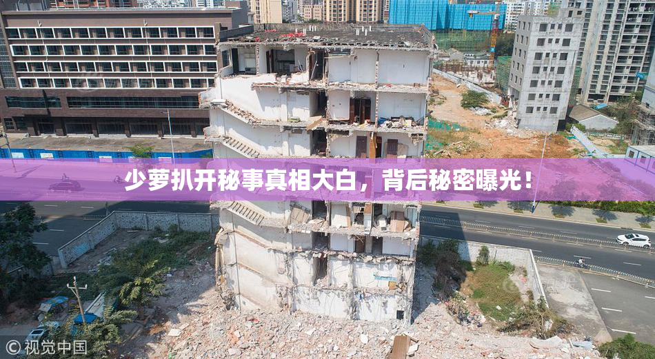少萝扒开秘事真相大白，背后秘密曝光！