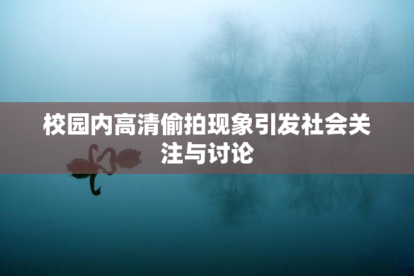 校园内高清偷拍现象引发社会关注与讨论