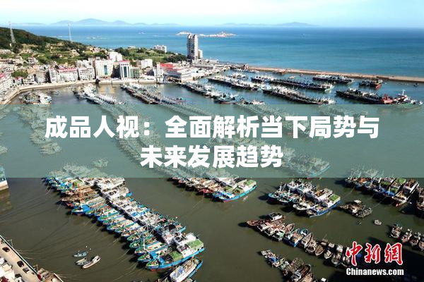 成品人视：全面解析当下局势与未来发展趋势