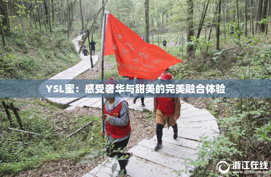 YSL蜜：感受奢华与甜美的完美融合体验
