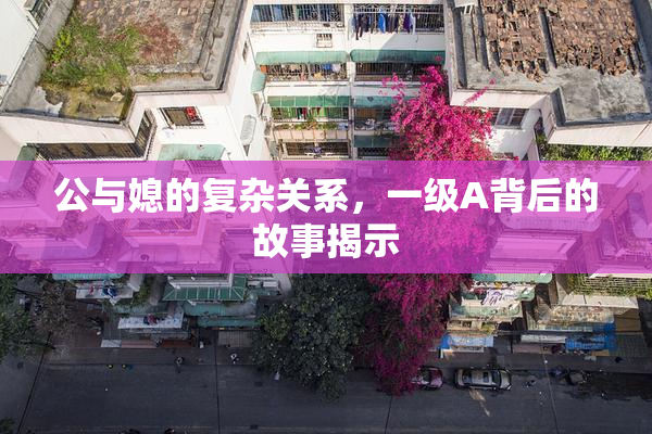 公与媳的复杂关系，一级A背后的故事揭示