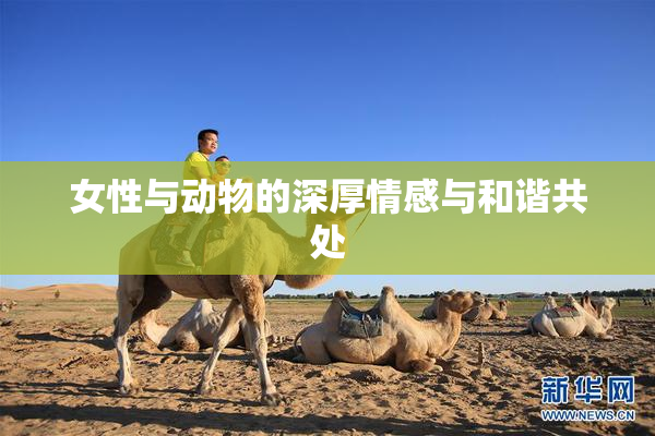 女性与动物的深厚情感与和谐共处