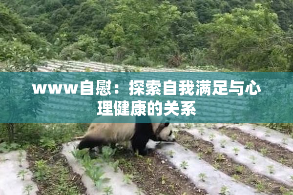 www自慰：探索自我满足与心理健康的关系