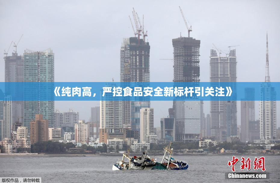 《纯肉高，严控食品安全新标杆引关注》