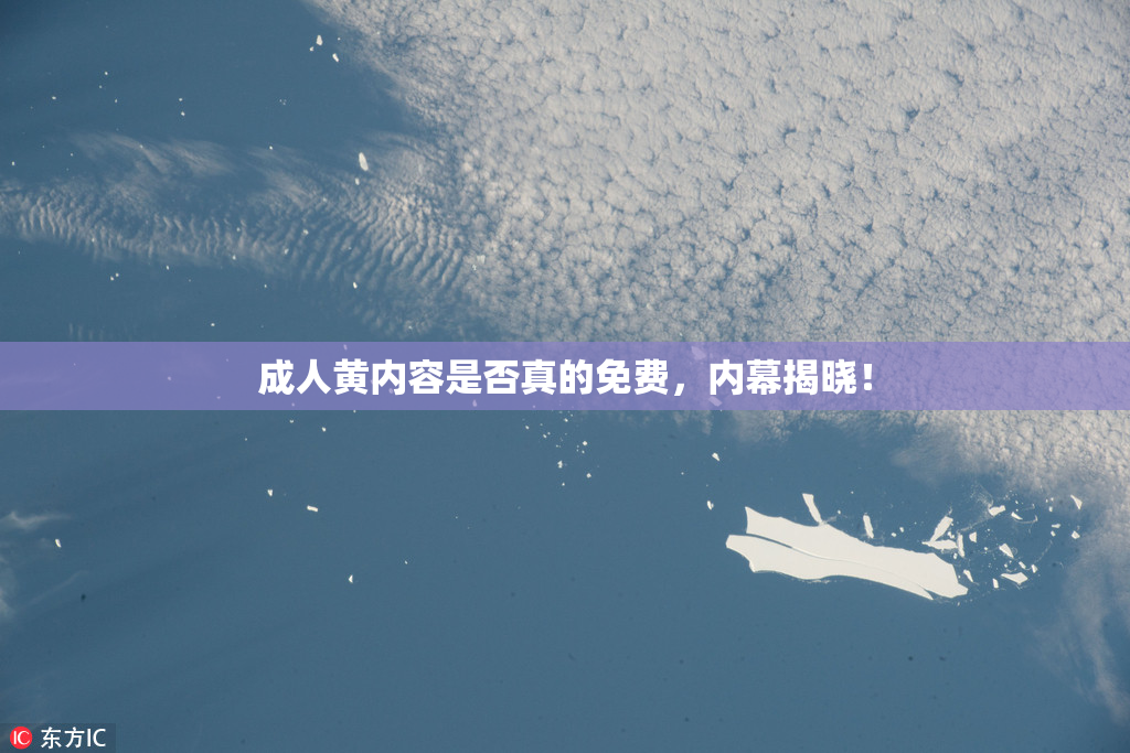 成人黄内容是否真的免费，内幕揭晓！