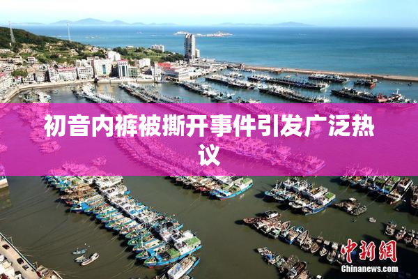 初音内裤被撕开事件引发广泛热议