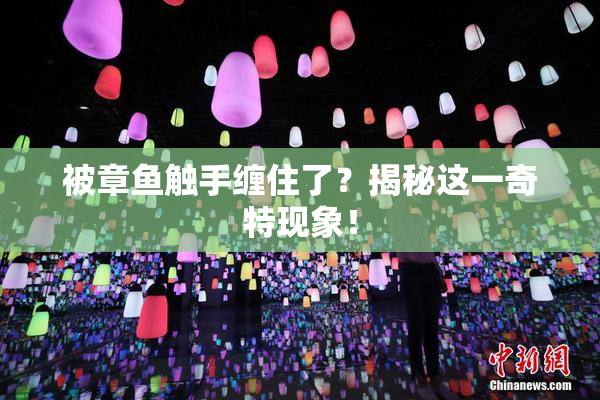 被章鱼触手缠住了？揭秘这一奇特现象！