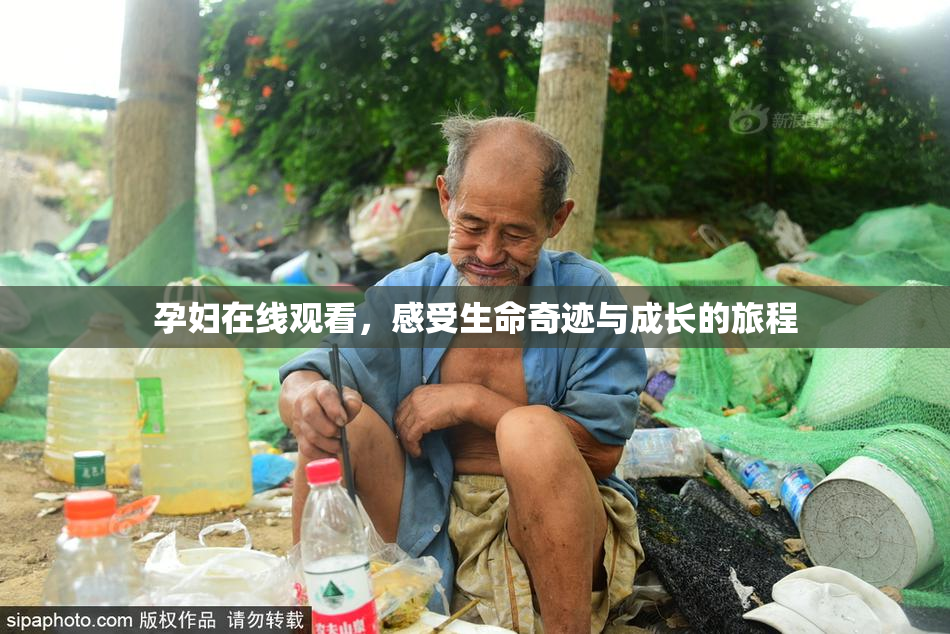 孕妇在线观看，感受生命奇迹与成长的旅程