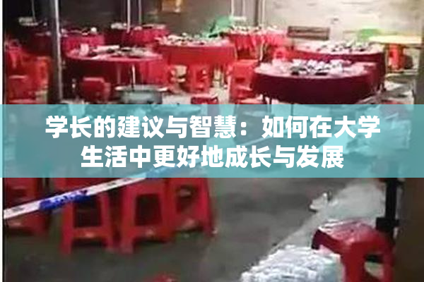 学长的建议与智慧：如何在大学生活中更好地成长与发展