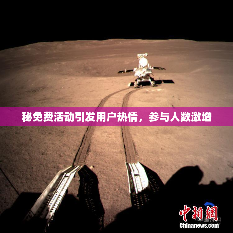 秘免费活动引发用户热情，参与人数激增