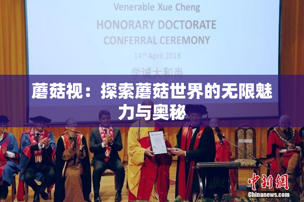 蘑菇视：探索蘑菇世界的无限魅力与奥秘