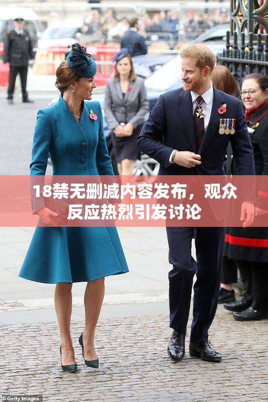 18禁无删减内容发布，观众反应热烈引发讨论