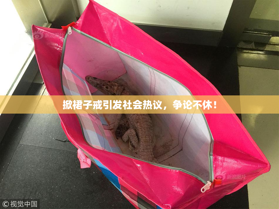 掀裙子戒引发社会热议，争论不休！