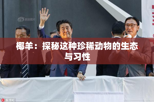 椰羊：探秘这种珍稀动物的生态与习性