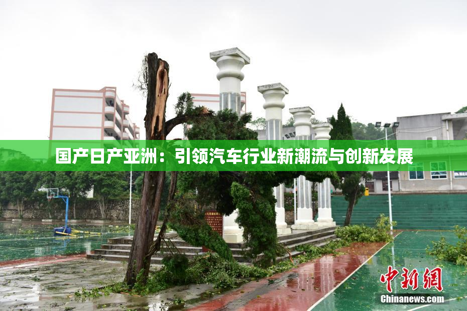 国产日产亚洲：引领汽车行业新潮流与创新发展