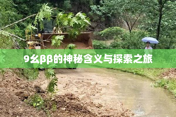 9幺ββ的神秘含义与探索之旅