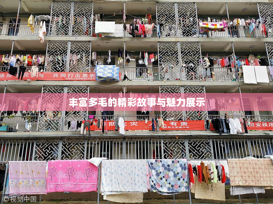 丰富多毛的精彩故事与魅力展示