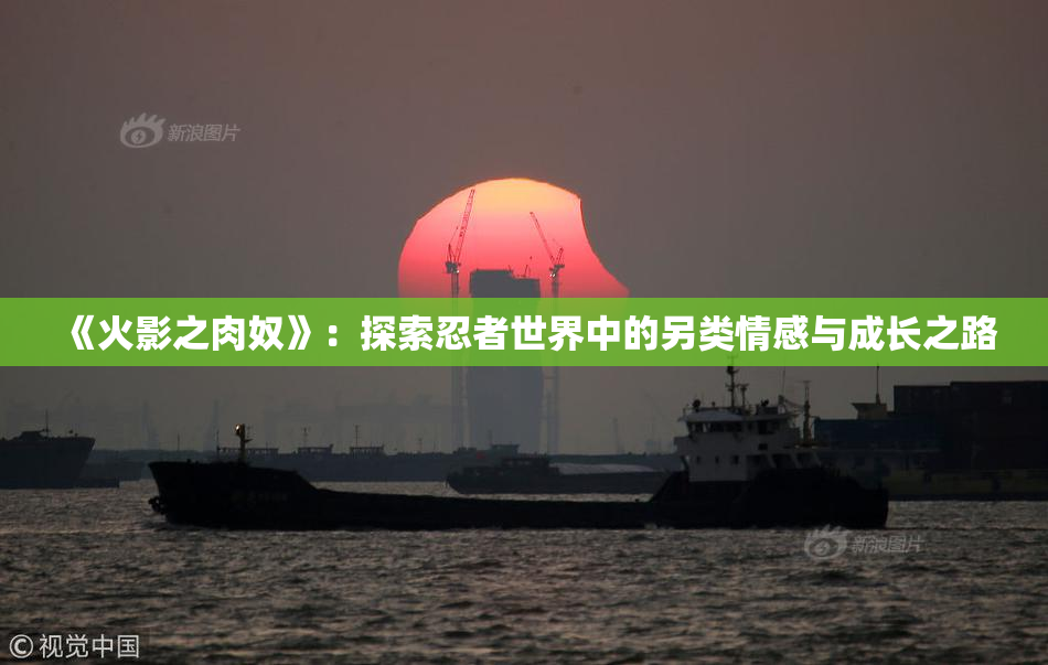 《火影之肉奴》：探索忍者世界中的另类情感与成长之路