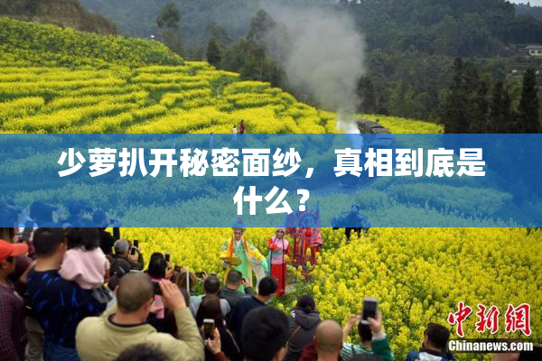 少萝扒开秘密面纱，真相到底是什么？